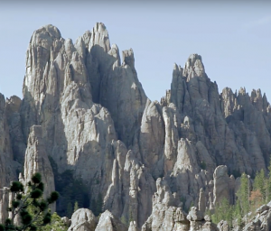 The Needles of Custer State Park